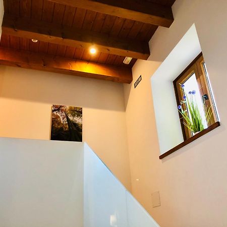 Apartamentos Zabalarena Basoa Orbaizeta Esterno foto