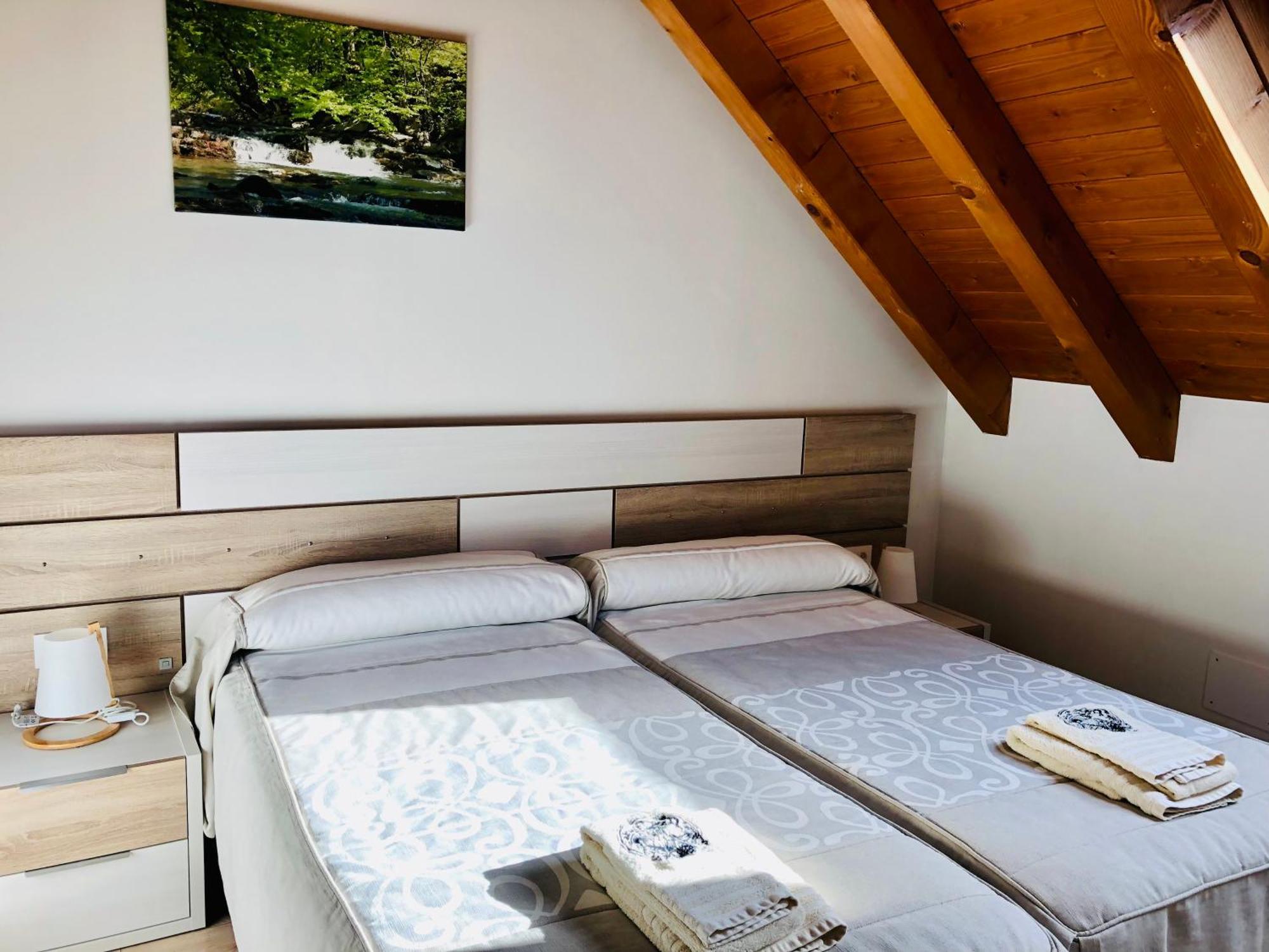 Apartamentos Zabalarena Basoa Orbaizeta Esterno foto