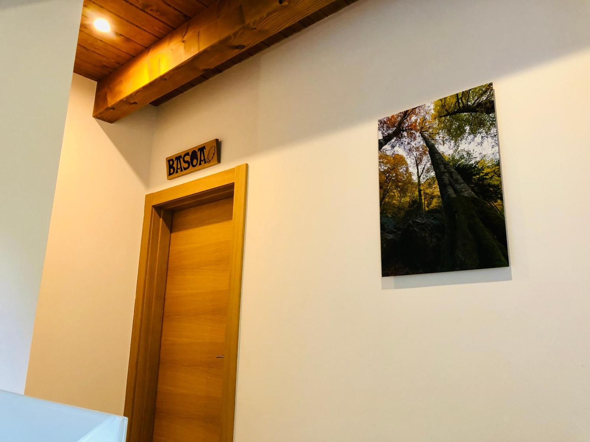 Apartamentos Zabalarena Basoa Orbaizeta Esterno foto