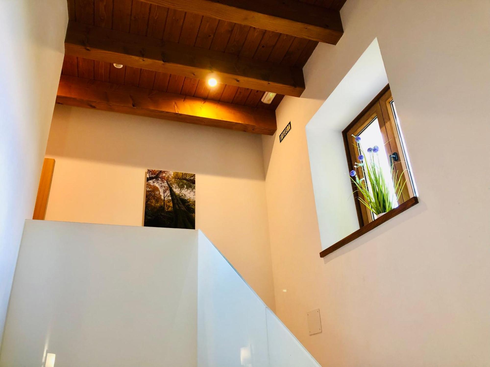 Apartamentos Zabalarena Basoa Orbaizeta Esterno foto